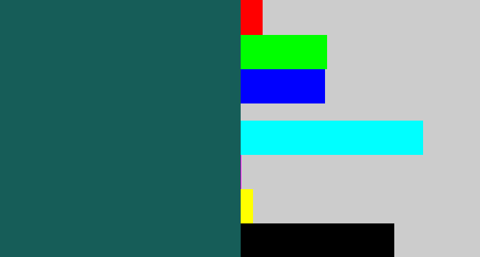 Hex color #165d58 - dark green blue