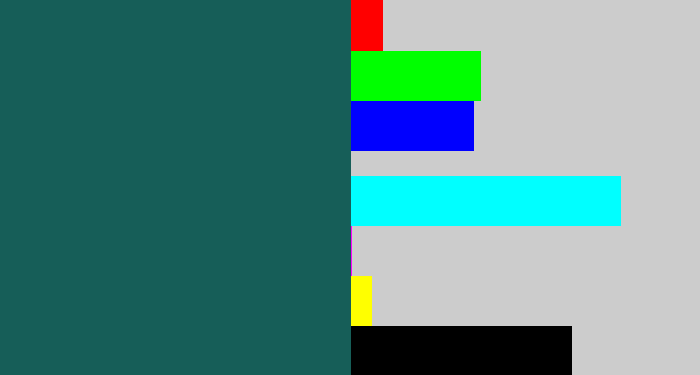 Hex color #165e58 - dark green blue