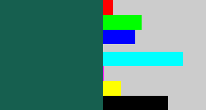 Hex color #165f4f - dark green blue