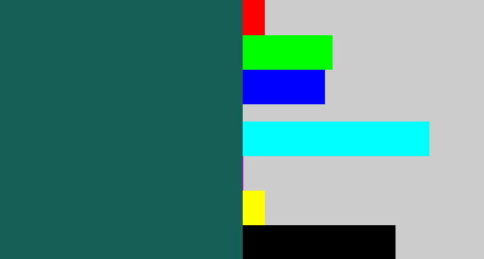 Hex color #165f56 - dark green blue