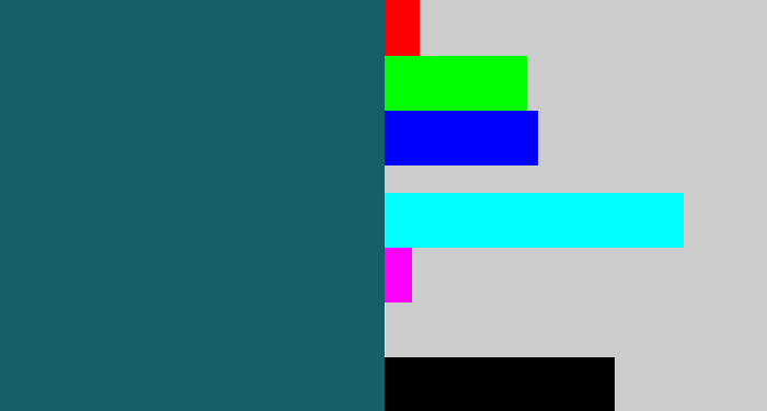 Hex color #165f66 - dark green blue