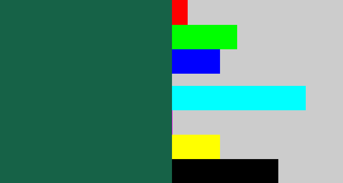 Hex color #166247 - dark green blue