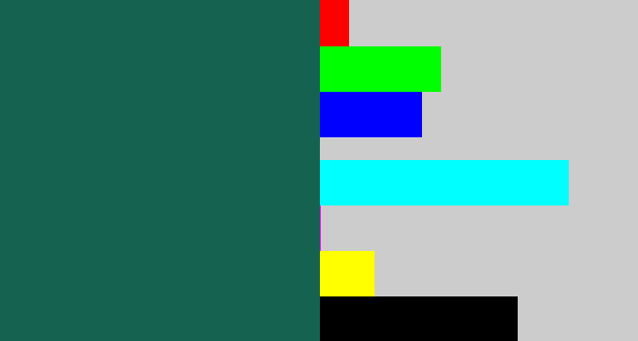 Hex color #166251 - dark green blue
