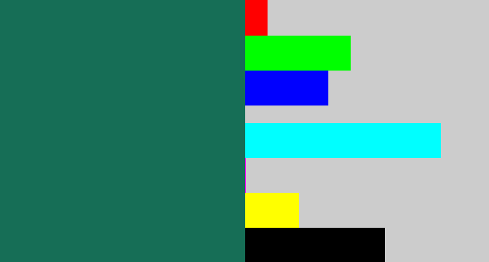 Hex color #166e56 - dark green blue