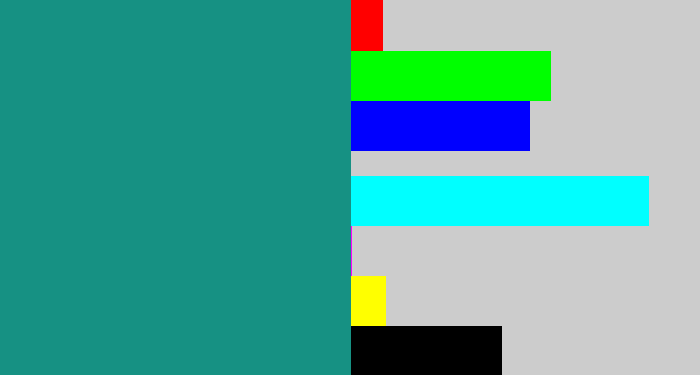Hex color #169183 - greenish blue