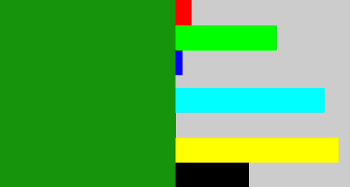 Hex color #16940b - true green