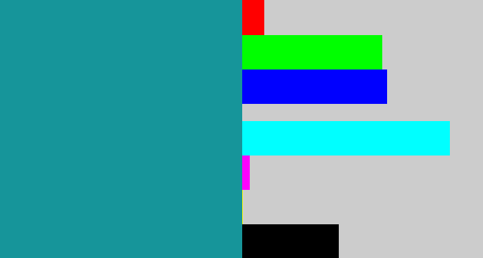 Hex color #16959a - blue/green