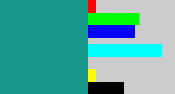 Hex color #169689 - blue/green