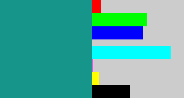 Hex color #16968b - blue/green