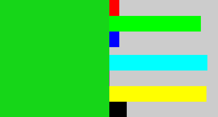 Hex color #16d618 - vibrant green
