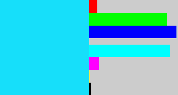 Hex color #16dffa - neon blue