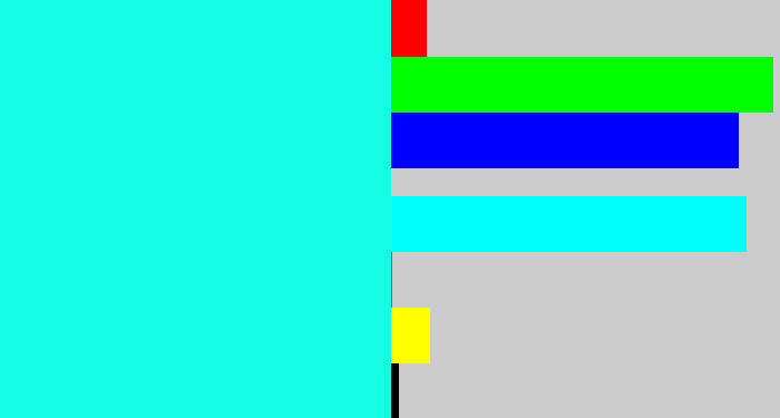 Hex color #16fbe3 - bright aqua