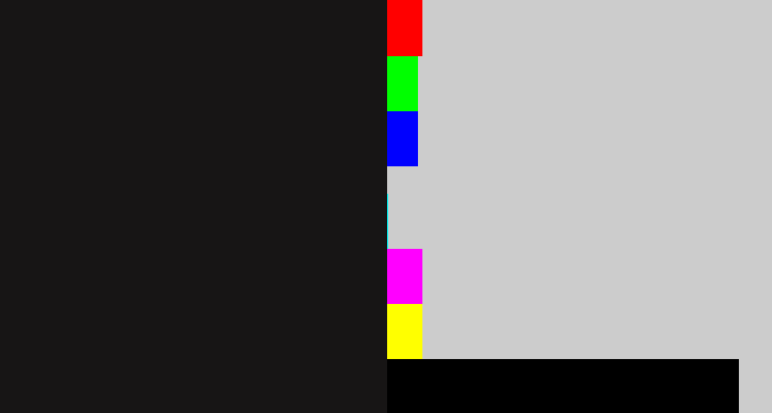 Hex color #171515 - almost black