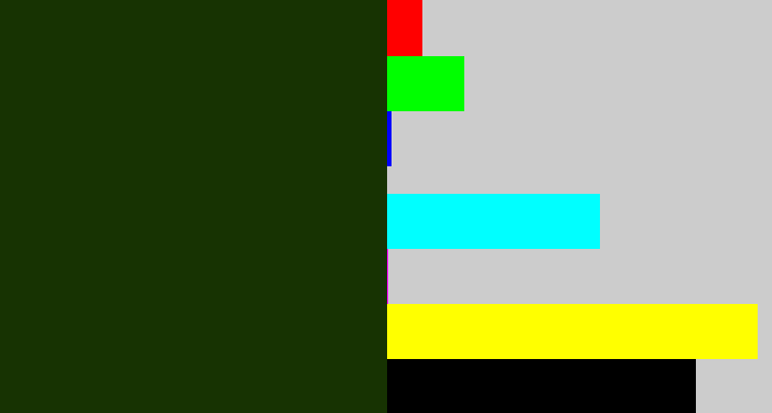 Hex color #173302 - forrest green