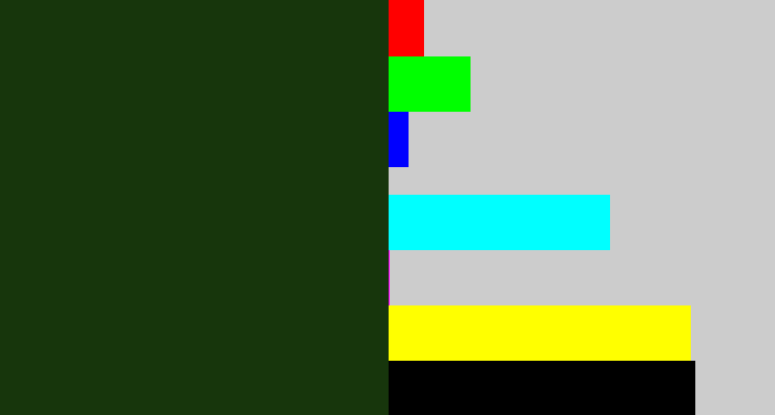 Hex color #17360c - forrest green