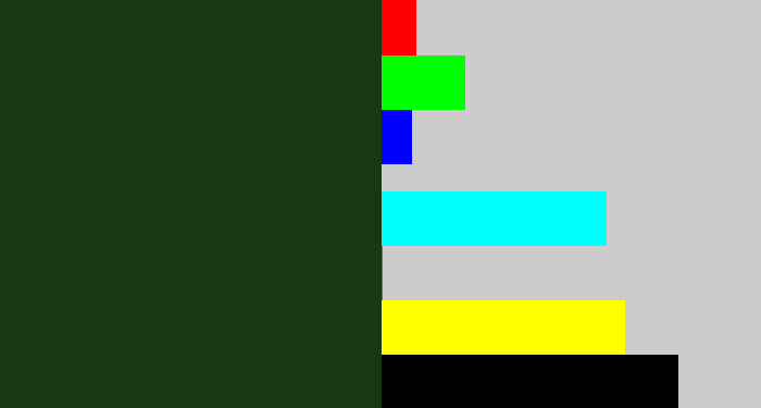 Hex color #173814 - forrest green
