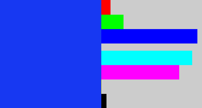 Hex color #1738f2 - vivid blue