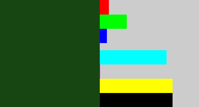 Hex color #174613 - forrest green
