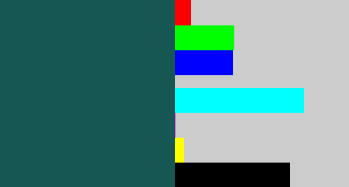 Hex color #175753 - dark green blue