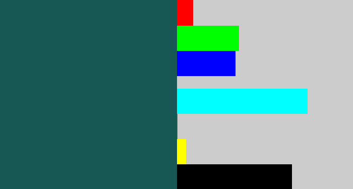 Hex color #175854 - dark green blue