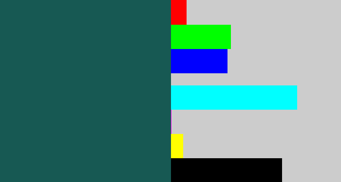 Hex color #175953 - dark green blue