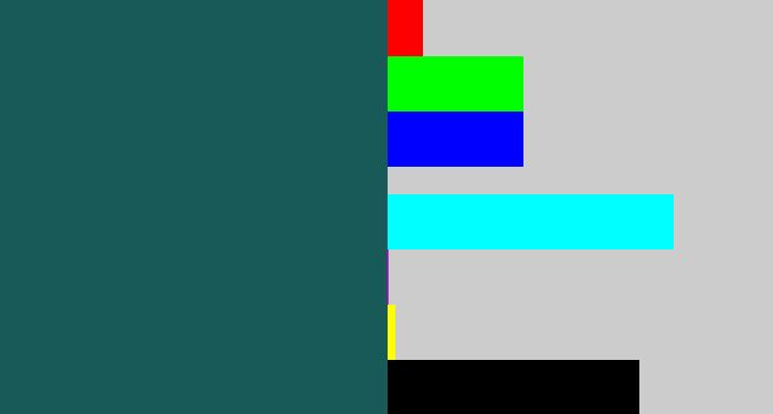 Hex color #175a58 - dark green blue