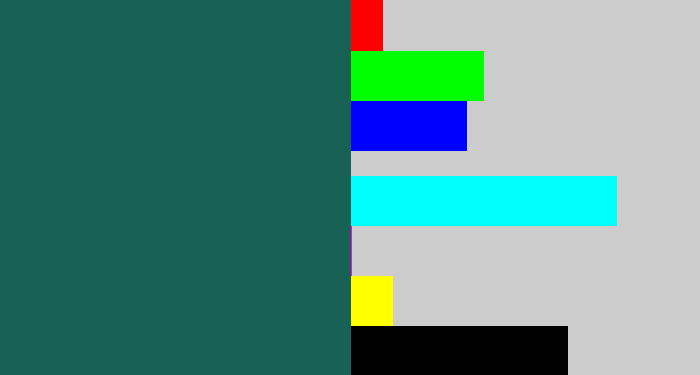 Hex color #176155 - dark green blue