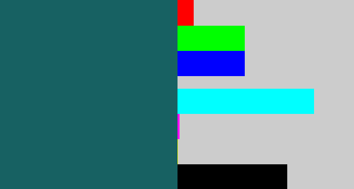 Hex color #176162 - dark green blue