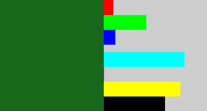 Hex color #17681b - deep green