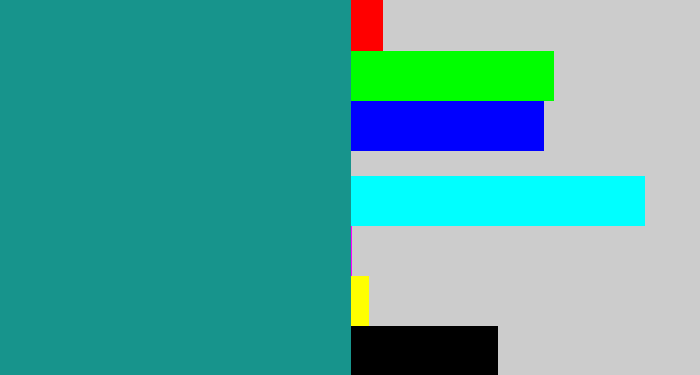 Hex color #17948c - blue/green