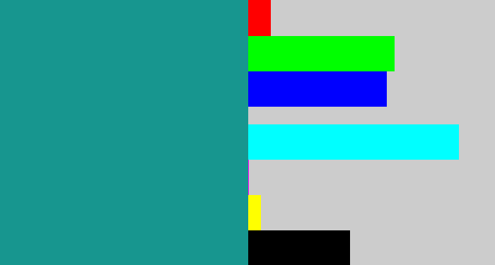 Hex color #17968f - blue/green