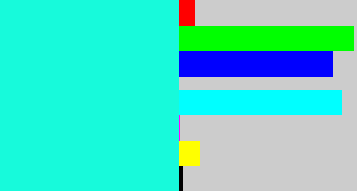 Hex color #17fadb - bright aqua