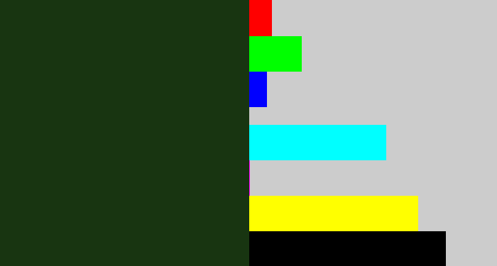 Hex color #183511 - forrest green