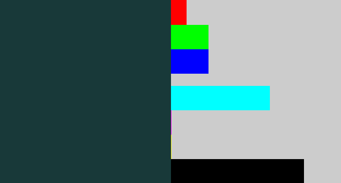 Hex color #183939 - dark blue grey