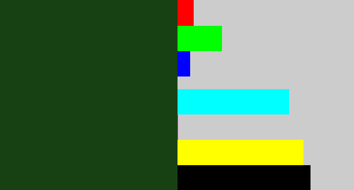 Hex color #184113 - forrest green