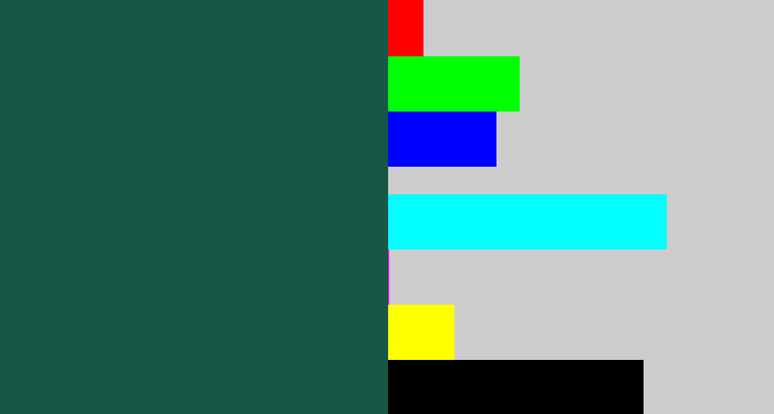 Hex color #185748 - dark green blue