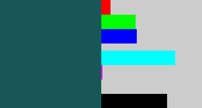 Hex color #185758 - dark green blue