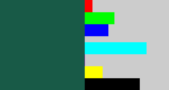 Hex color #185a47 - dark green blue