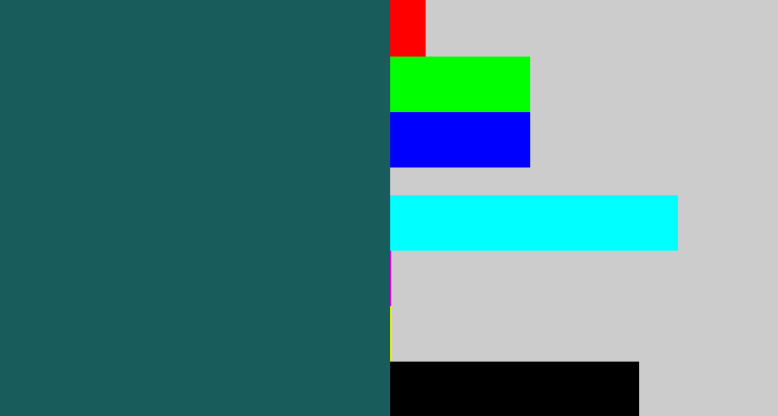 Hex color #185c5c - dark green blue