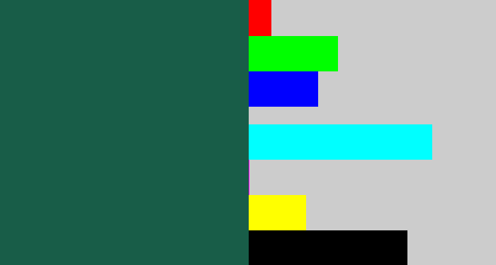 Hex color #185d48 - dark green blue