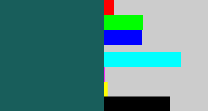 Hex color #185e5b - dark green blue