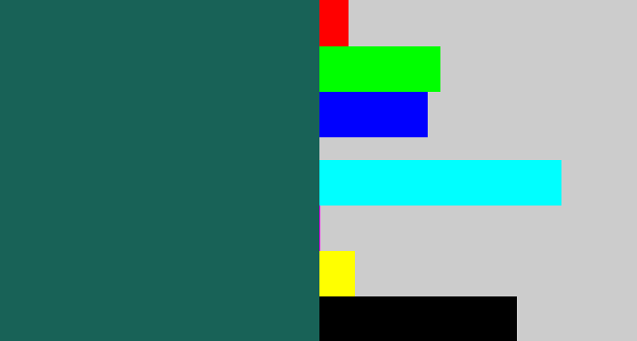 Hex color #186257 - dark green blue