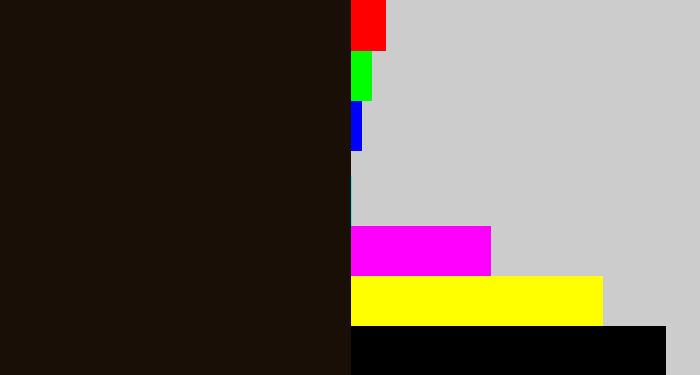 Hex color #190f07 - very dark brown