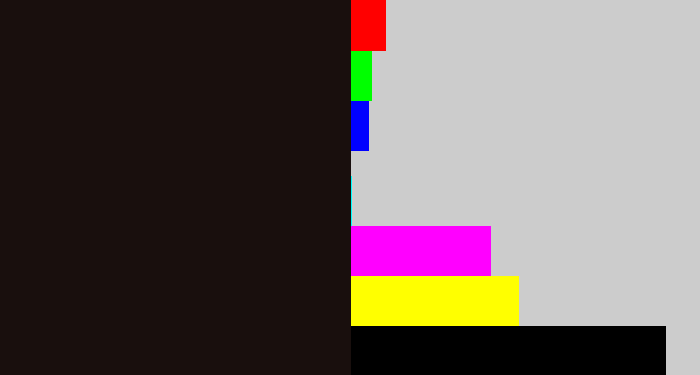 Hex color #190f0d - almost black