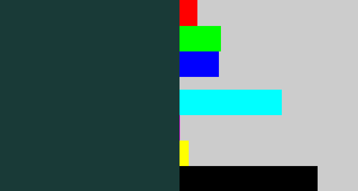 Hex color #193a37 - dark blue grey