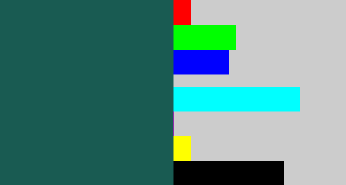 Hex color #195b52 - dark green blue
