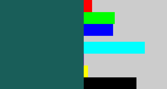 Hex color #195e59 - dark green blue