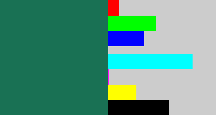 Hex color #197154 - dark green blue