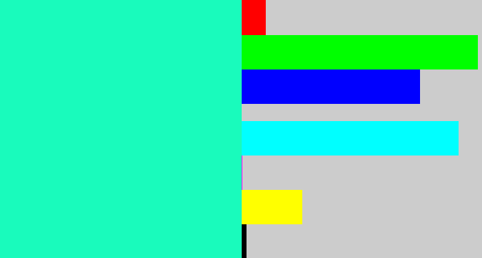 Hex color #19fbbc - greenish cyan