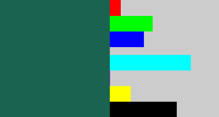 Hex color #1a6350 - dark green blue